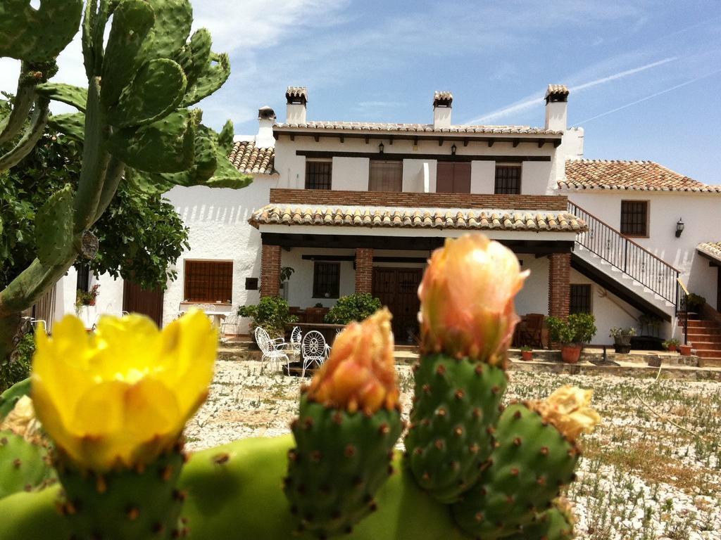 Belvilla By Oyo Cortijo Las Monjas Periana Exterior photo